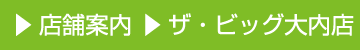 店舗案内 ザ・ビッグ大内店